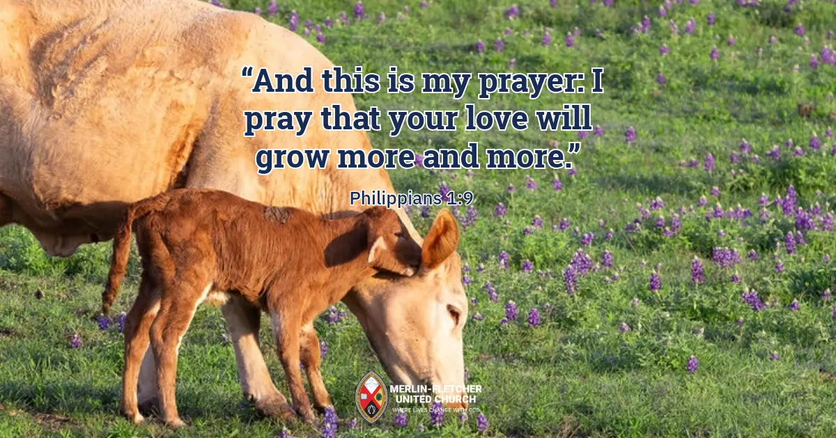 Sunday Service & Sunday School